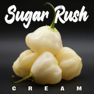 Sugar Rush Cream