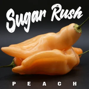 Sugar Rush Peach