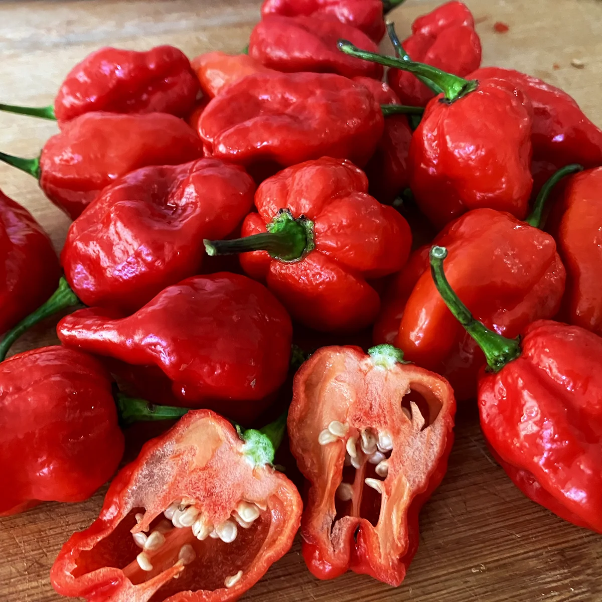 Sweet Moruga – Image 3