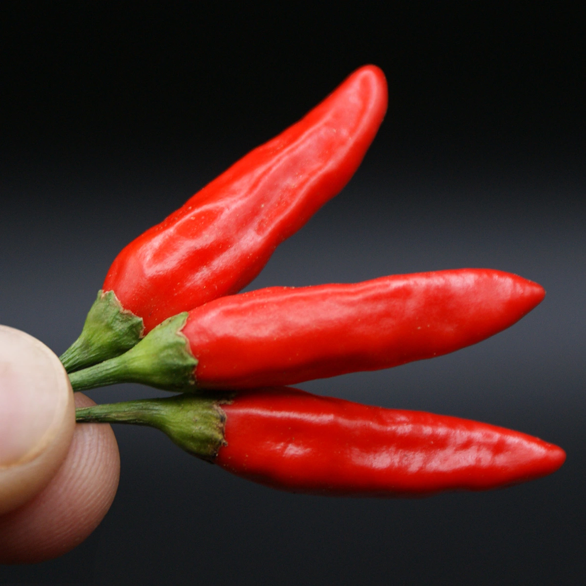 Tabasco – Image 2