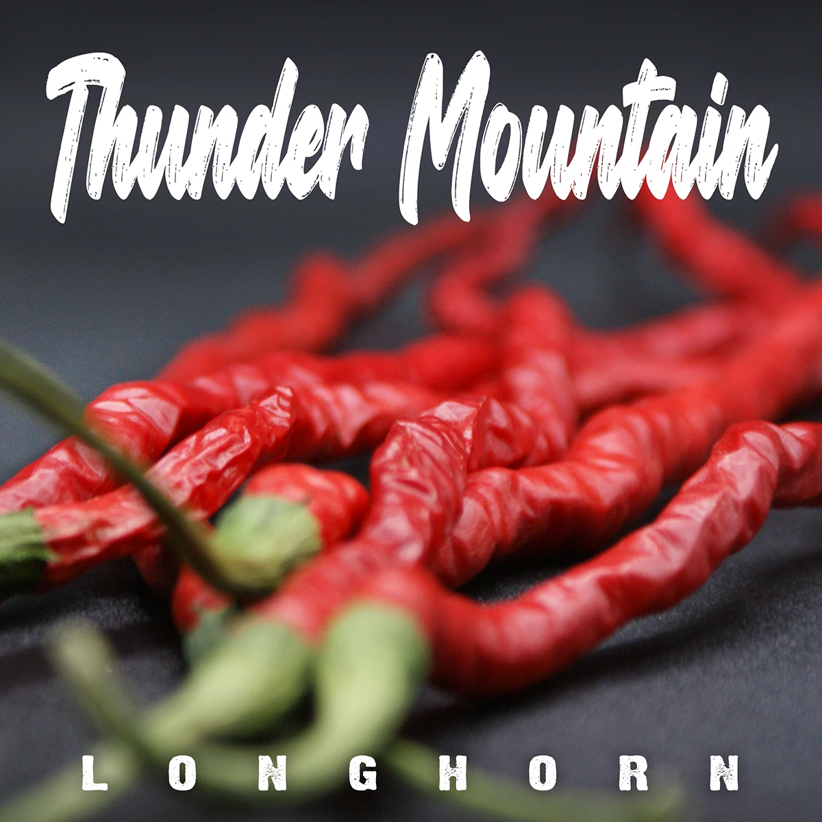 Thunder Mountain Longhorn