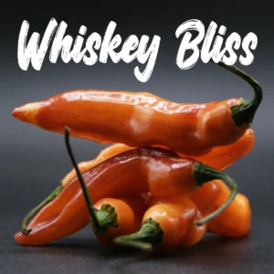 Whiskey Bliss