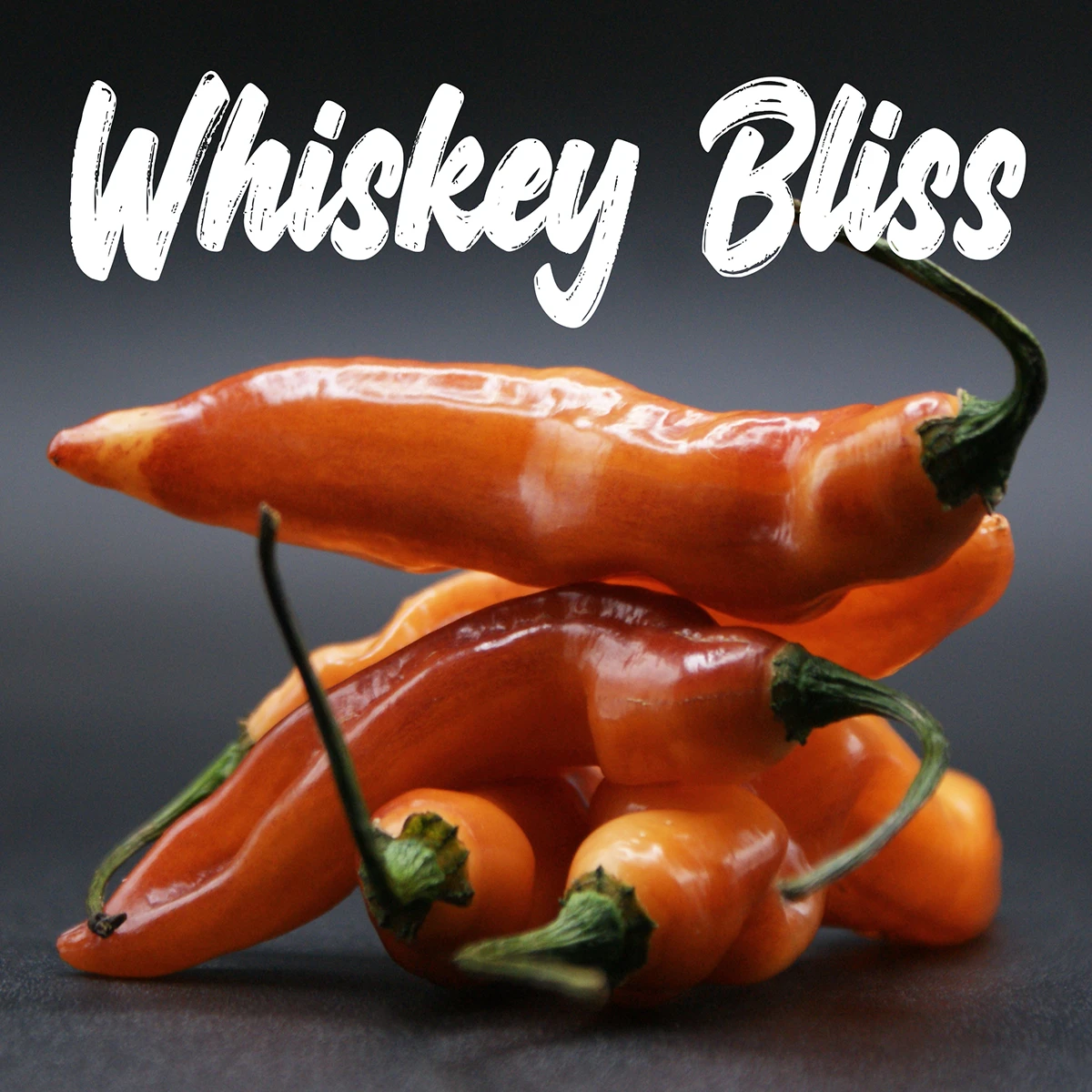 Whiskey Bliss