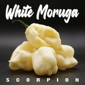 White Moruga Scorpion