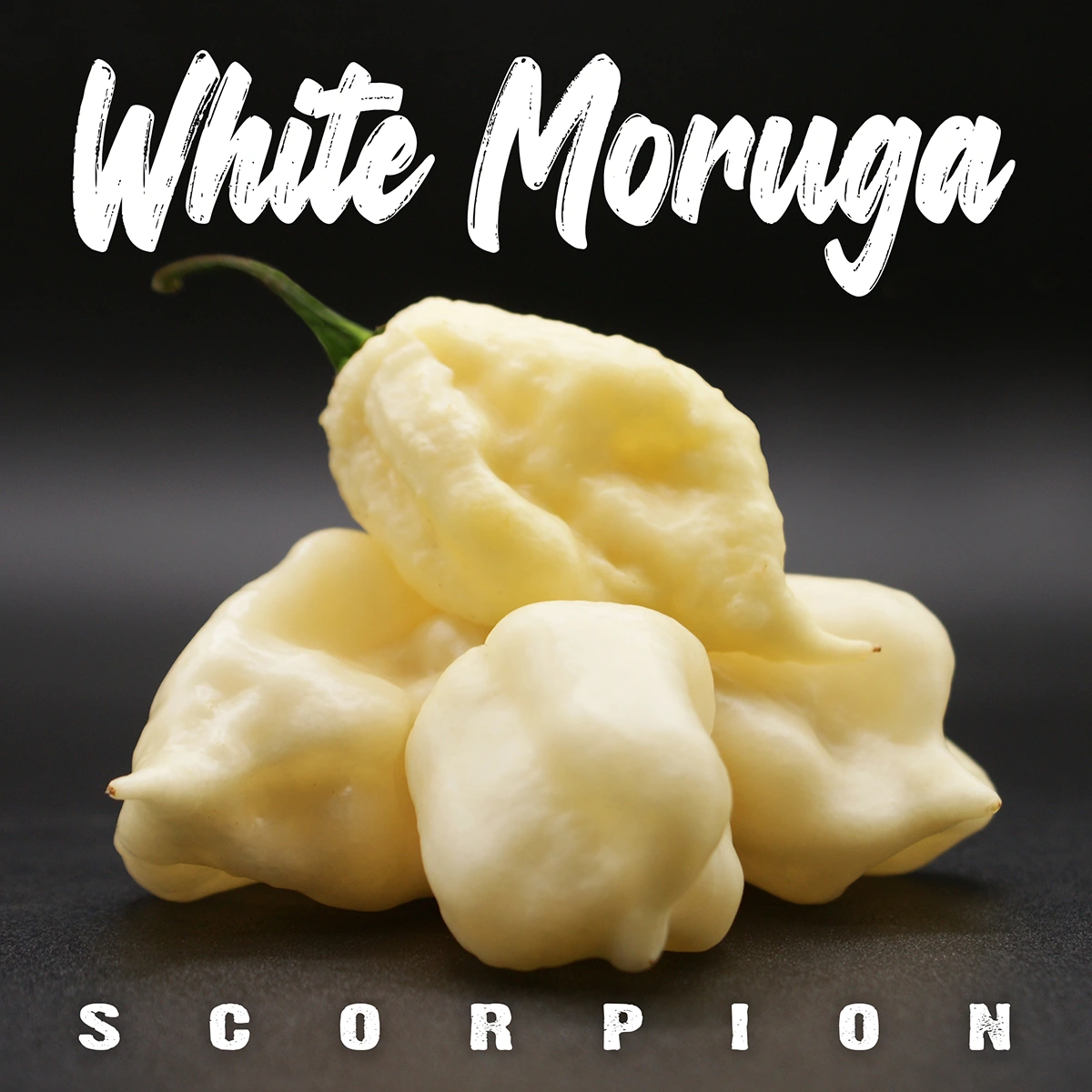 White Moruga Scorpion