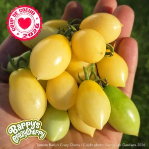 Barry's Crazy Cherry