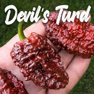 Devil's Turd