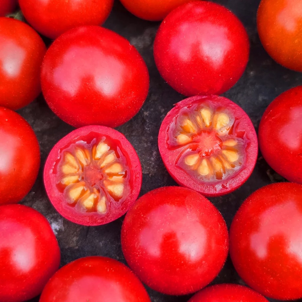 Matt's Wild Cherry