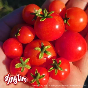 Tiny Tim